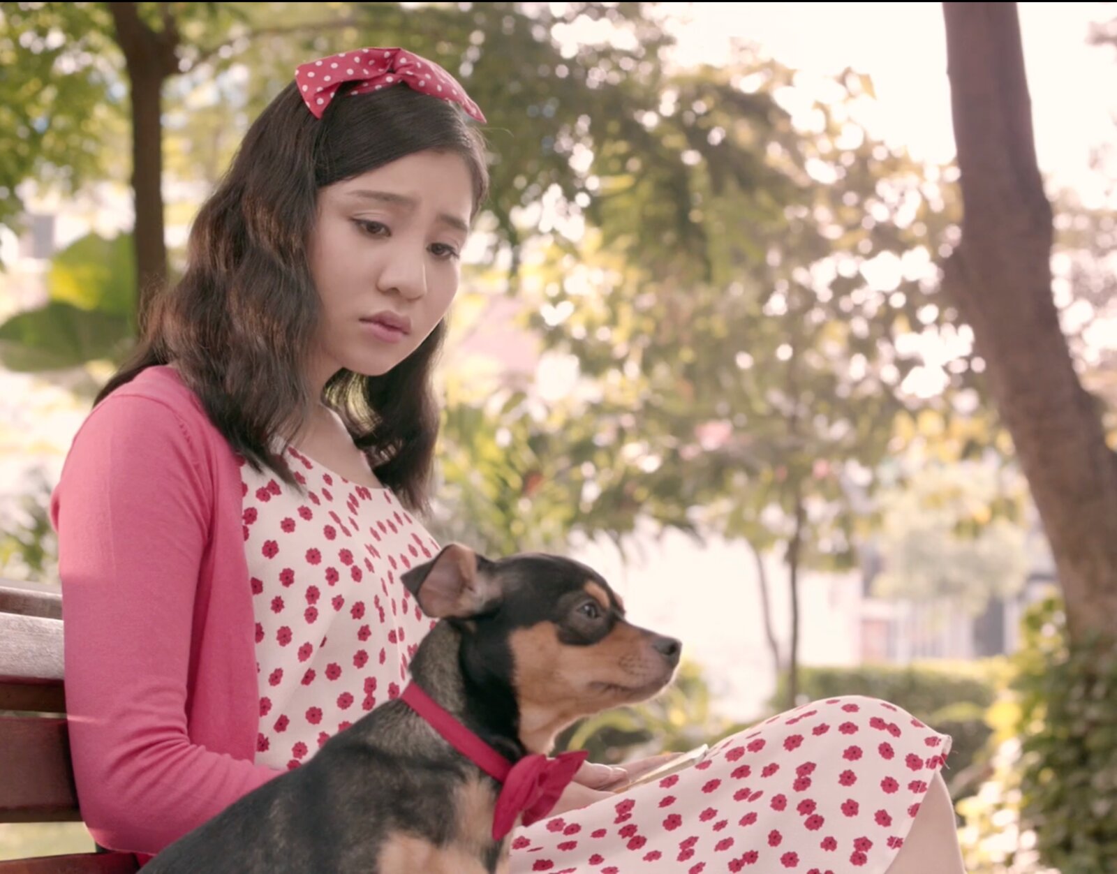 CHO TOT-LONELY DOG