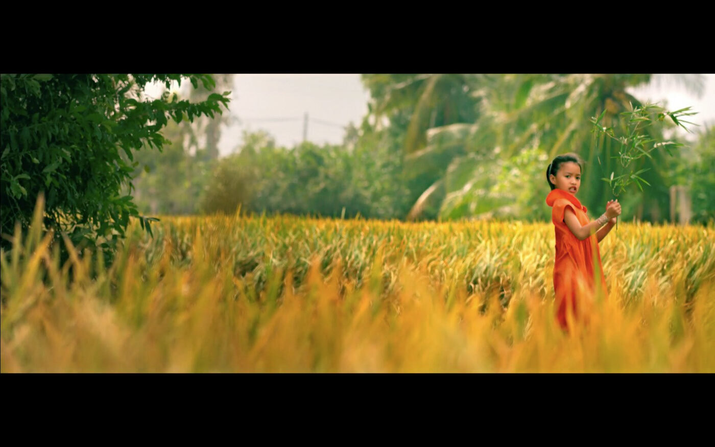 COCA COLA still